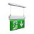 Ansell LED Suspended Emergency Sign Kestrel White 2W 14lm - 865 Daylight